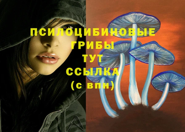 винт Армянск