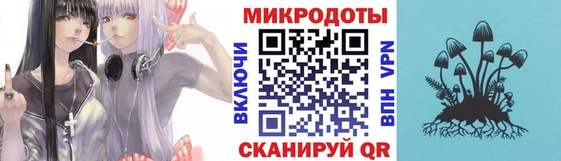 Псилоцибиновые грибы Psilocybe Кинель