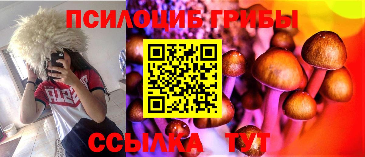 Псилоцибиновые грибы GOLDEN TEACHER  Вход с VPN  Кинель  Псилоцибиновые грибы Cubensis 