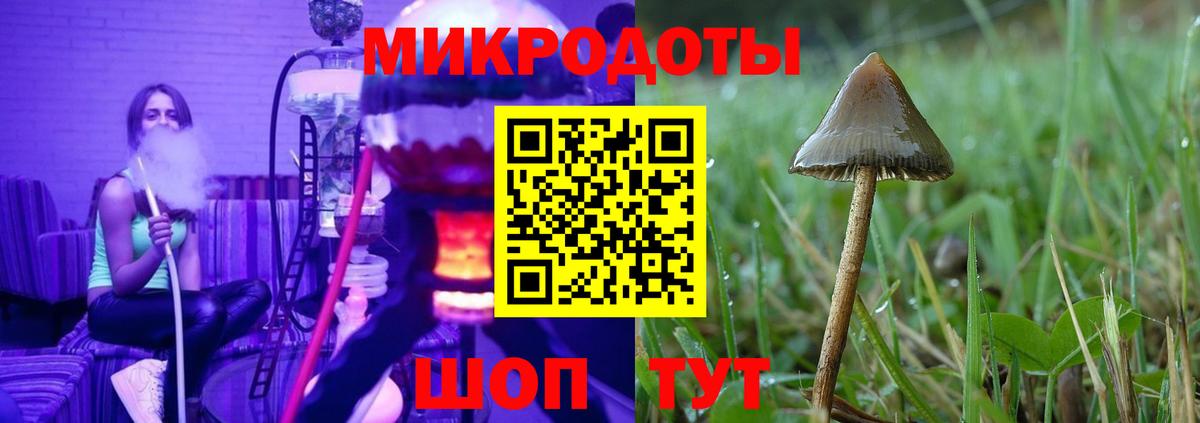 Псилоцибиновые грибы MAGIC MUSHROOMS Кинель
